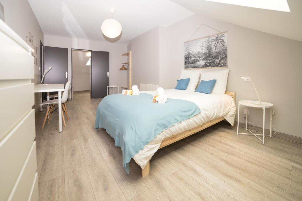 Duplex Republique Apartment Clermont-Ferrand Ngoại thất bức ảnh
